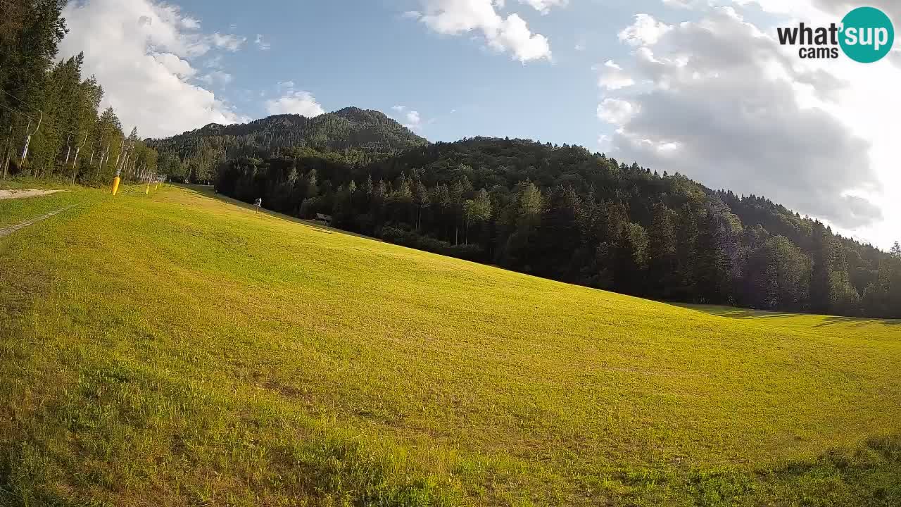 Comprensorio sciistico Kranjska Gora | Brsnina