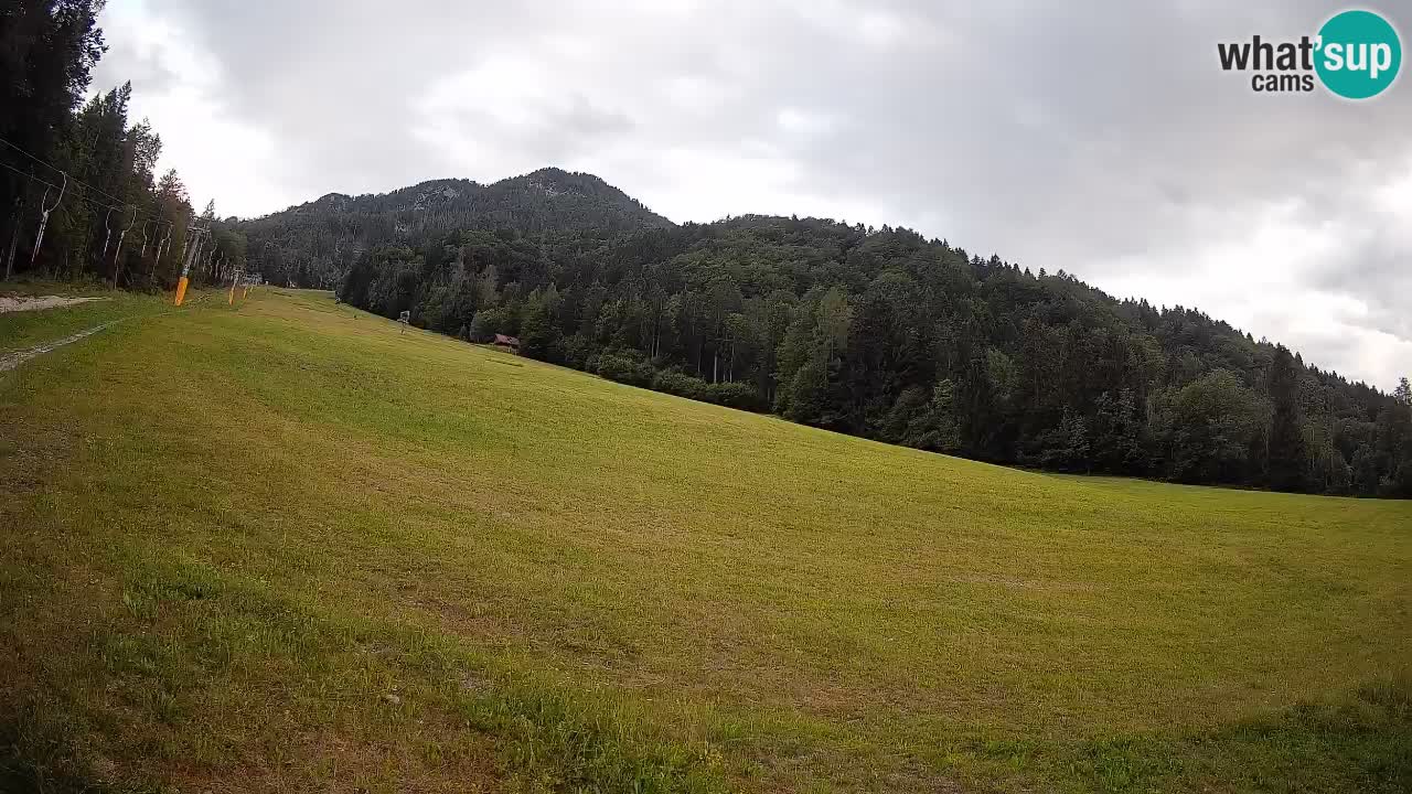 Ski Kranjska Gora | Brsnina