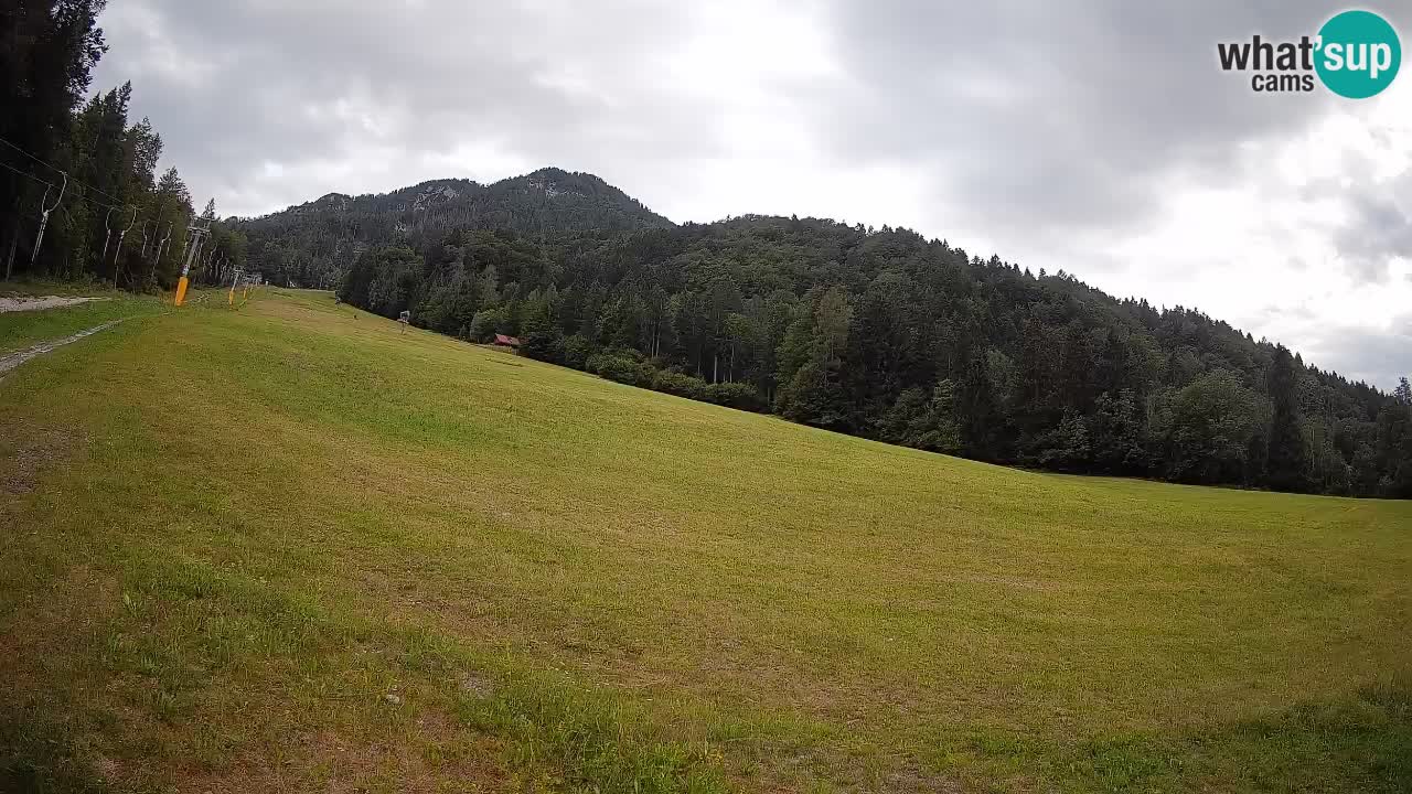 RTC Skigebiet Kranjska Gora | Brsnina