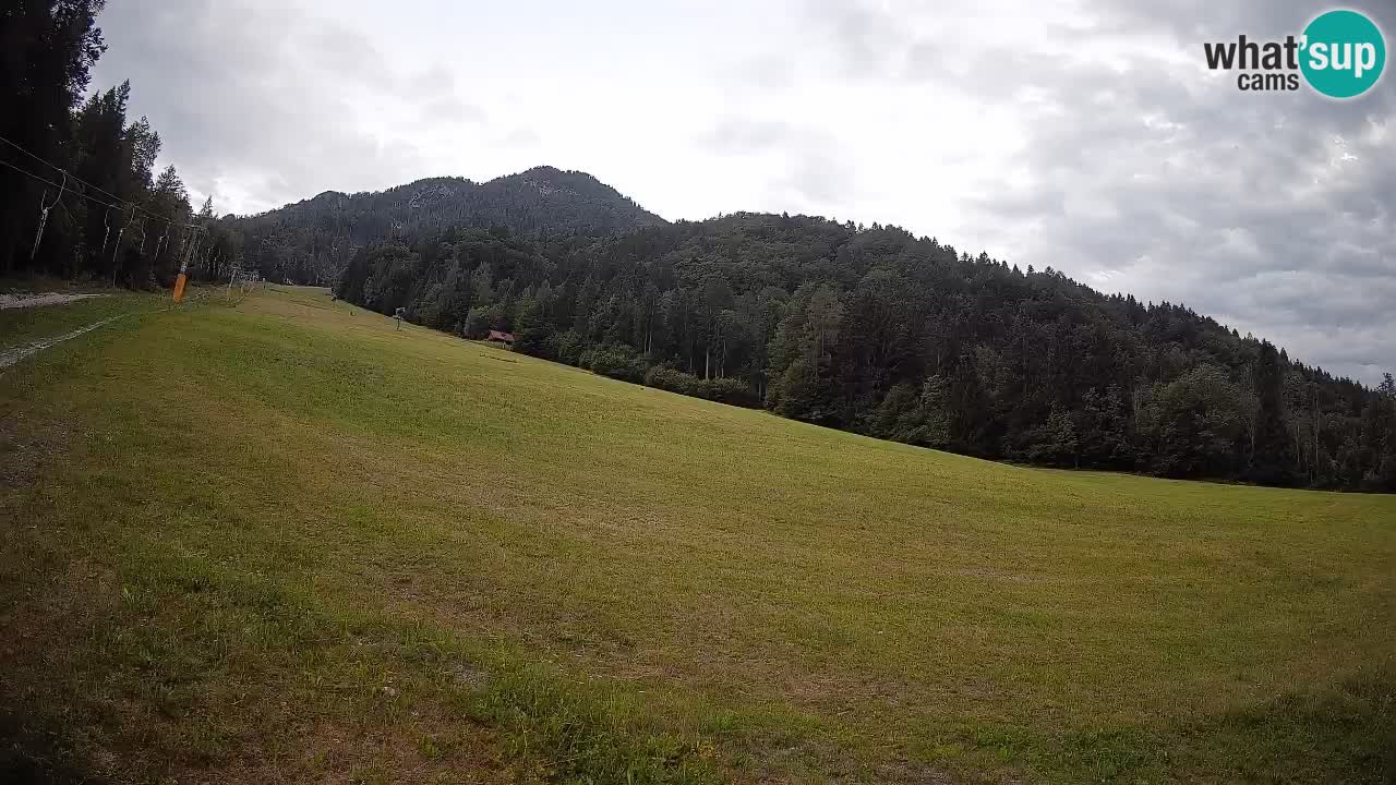 Kranjska Gora SKIJANJE | Brsnina