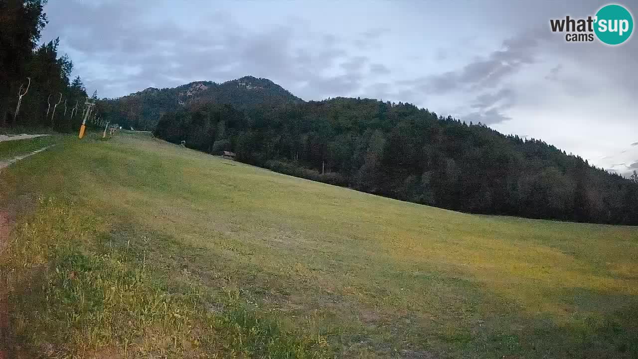 Kranjska Gora SKIJANJE | Brsnina