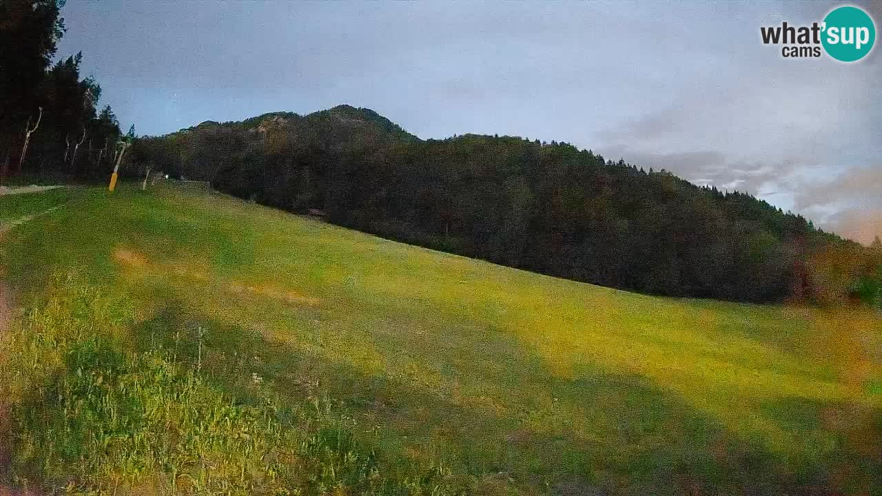 RTC Kranjska Gora | Brsnina