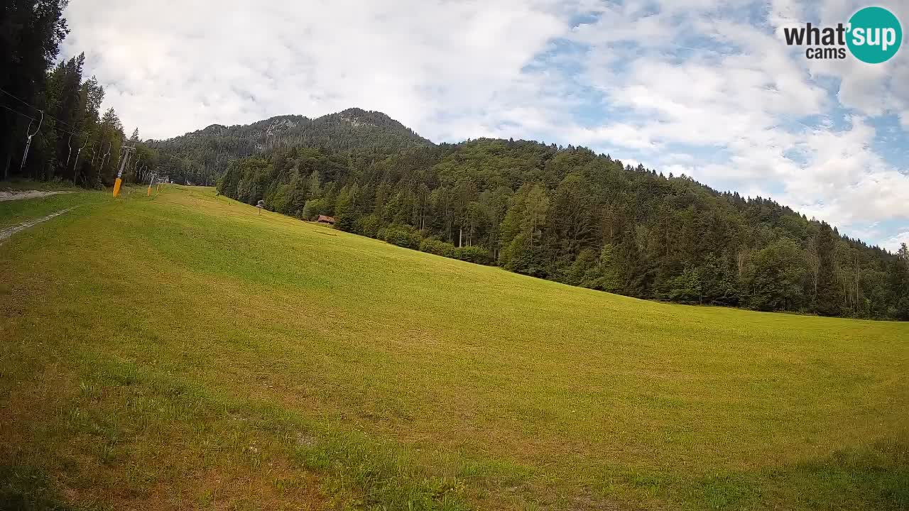 RTC Kranjska Gora | Brsnina