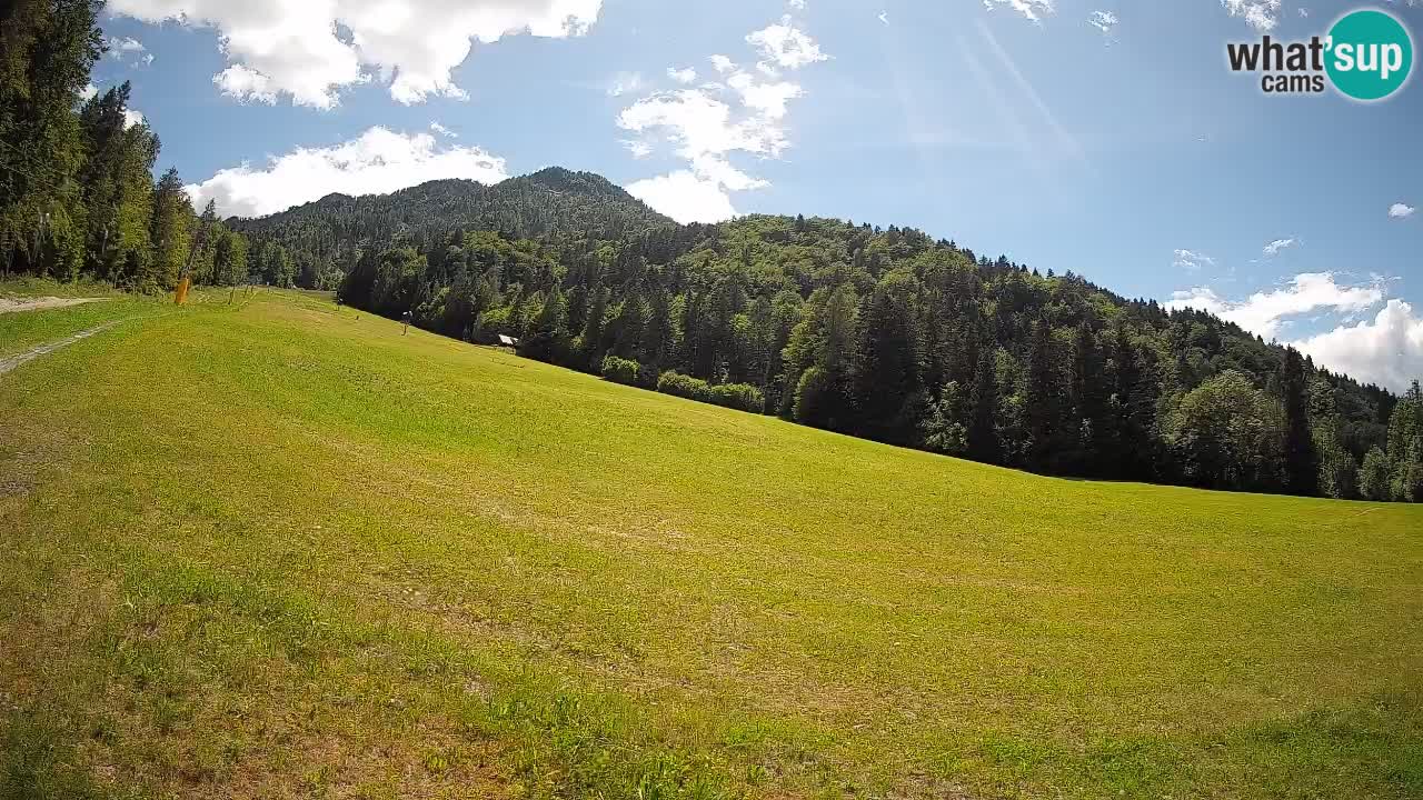 Esquí Kranjska Gora | Brsnina
