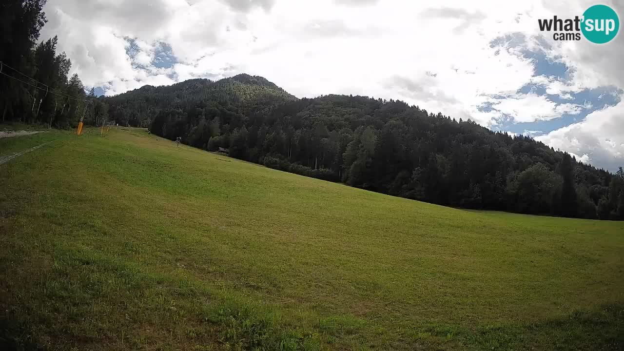 RTC Kranjska Gora | Brsnina