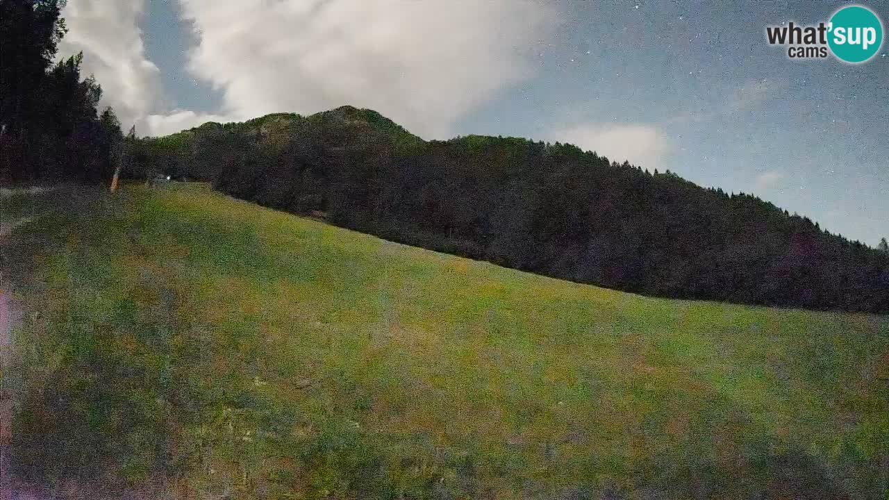 Ski Kranjska Gora | Brsnina