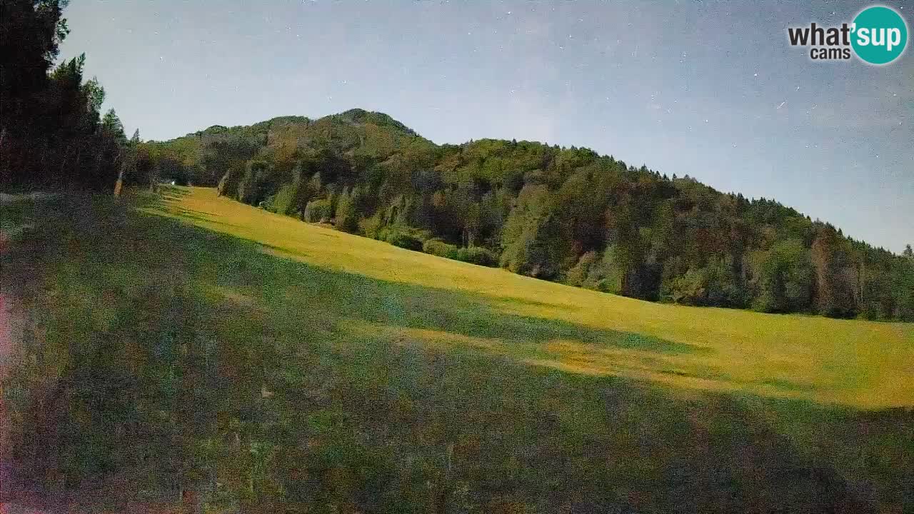 Ski Kranjska Gora | Brsnina
