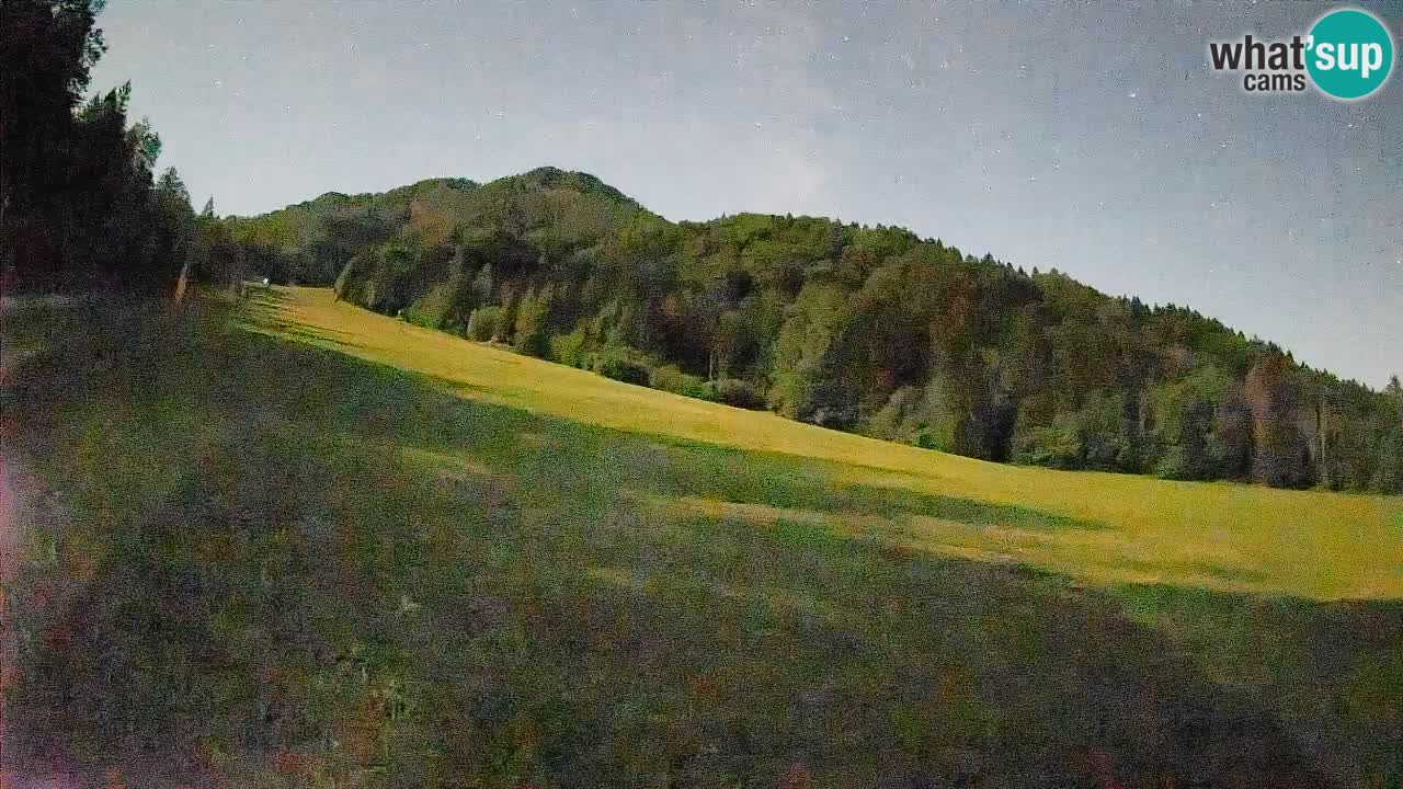 Kranjska Gora Station de ski | Brsnina