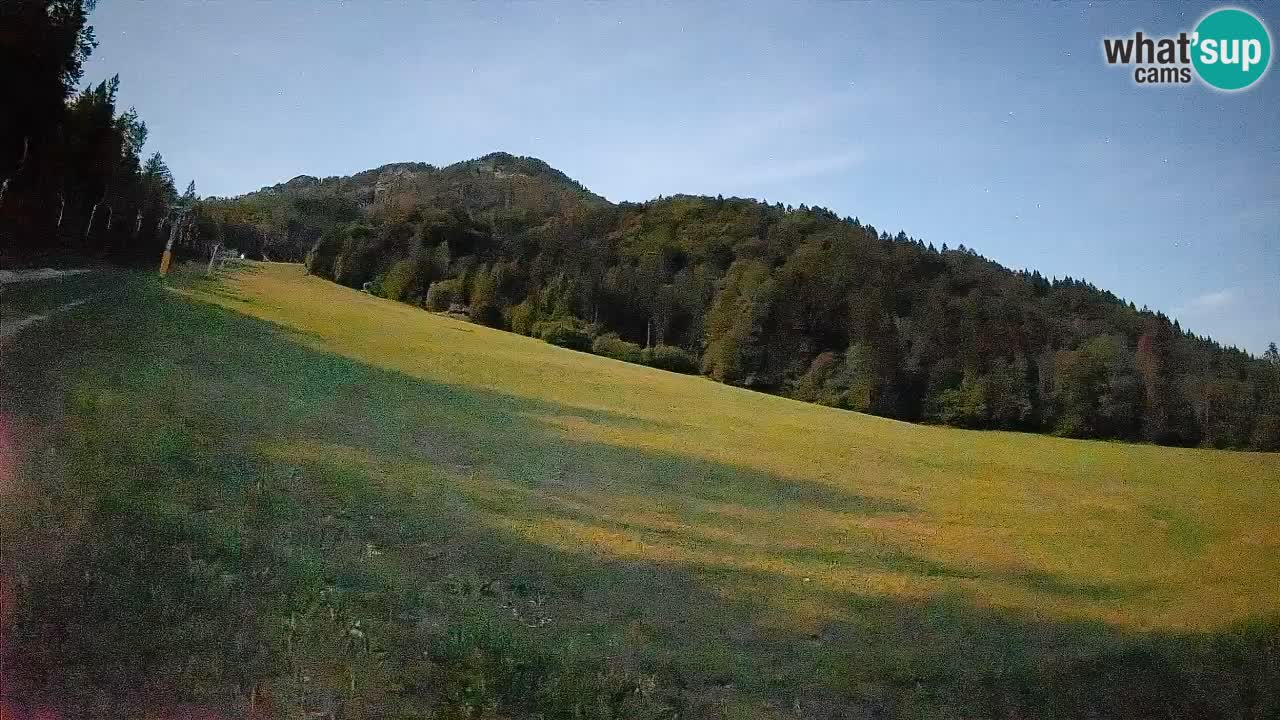 Ski Kranjska Gora | Brsnina