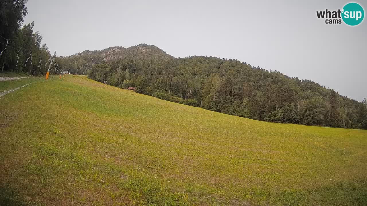 Esquí Kranjska Gora | Brsnina
