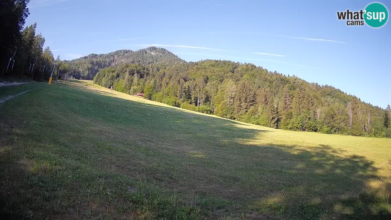 Ski Kranjska Gora | Brsnina