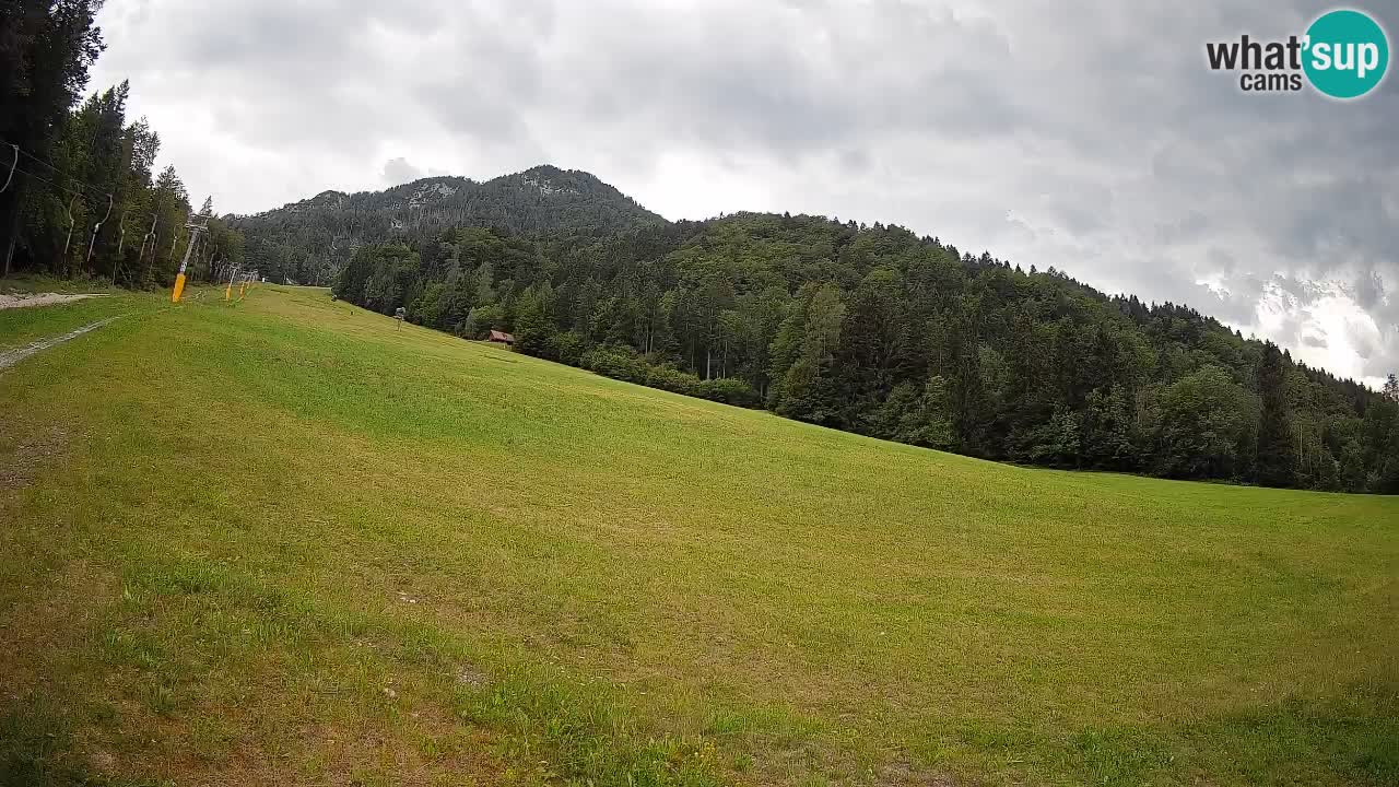 Esquí Kranjska Gora | Brsnina