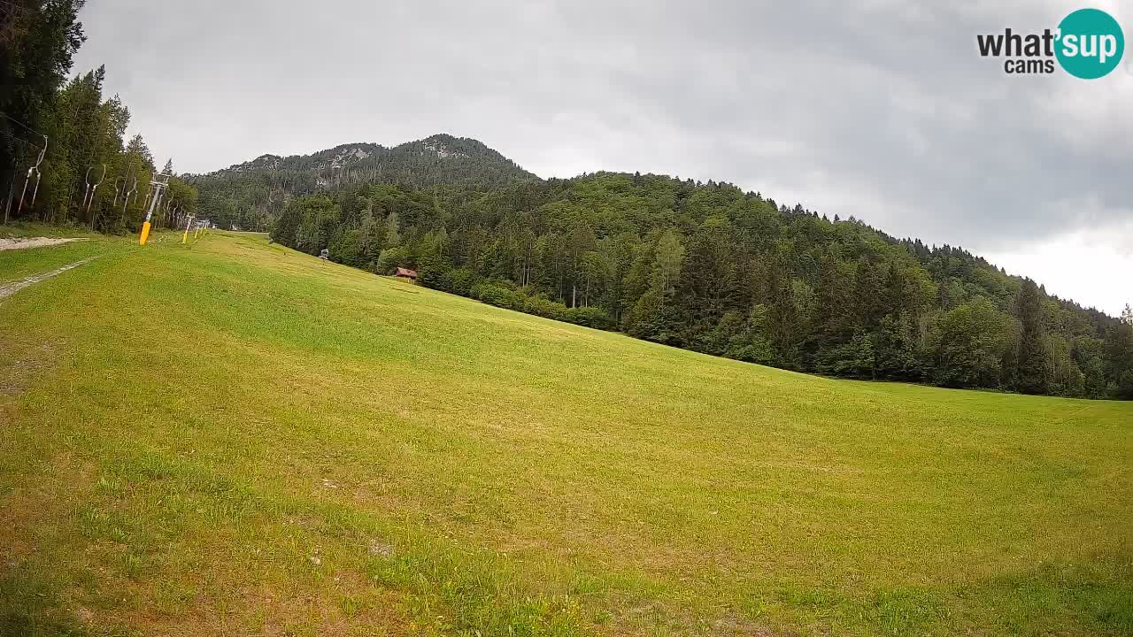 Esquí Kranjska Gora | Brsnina