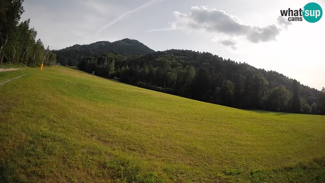 Kranjska Gora Station de ski | Brsnina