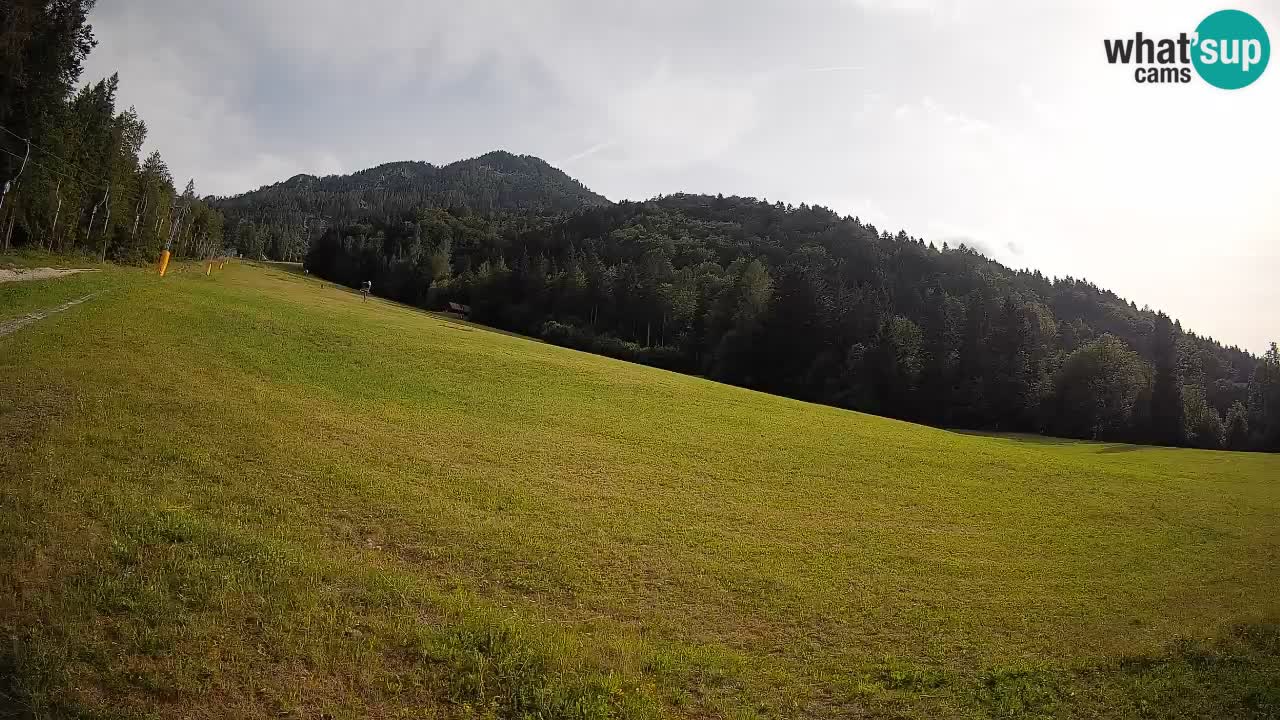 RTC Kranjska Gora | Brsnina