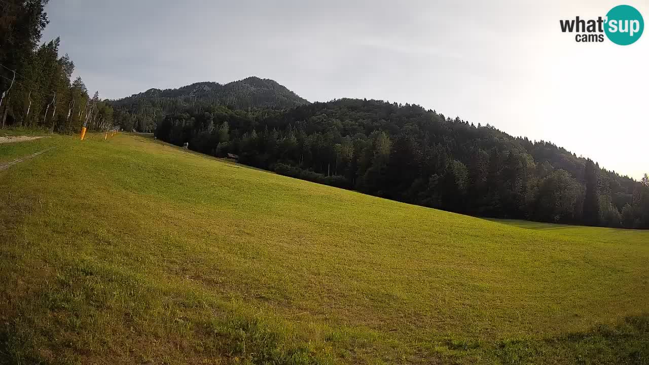 RTC Kranjska Gora | Brsnina