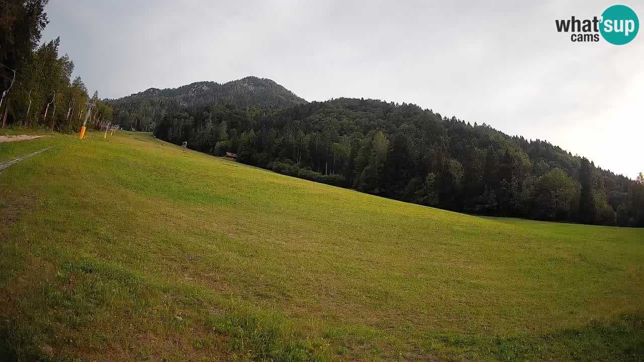 Comprensorio sciistico Kranjska Gora | Brsnina
