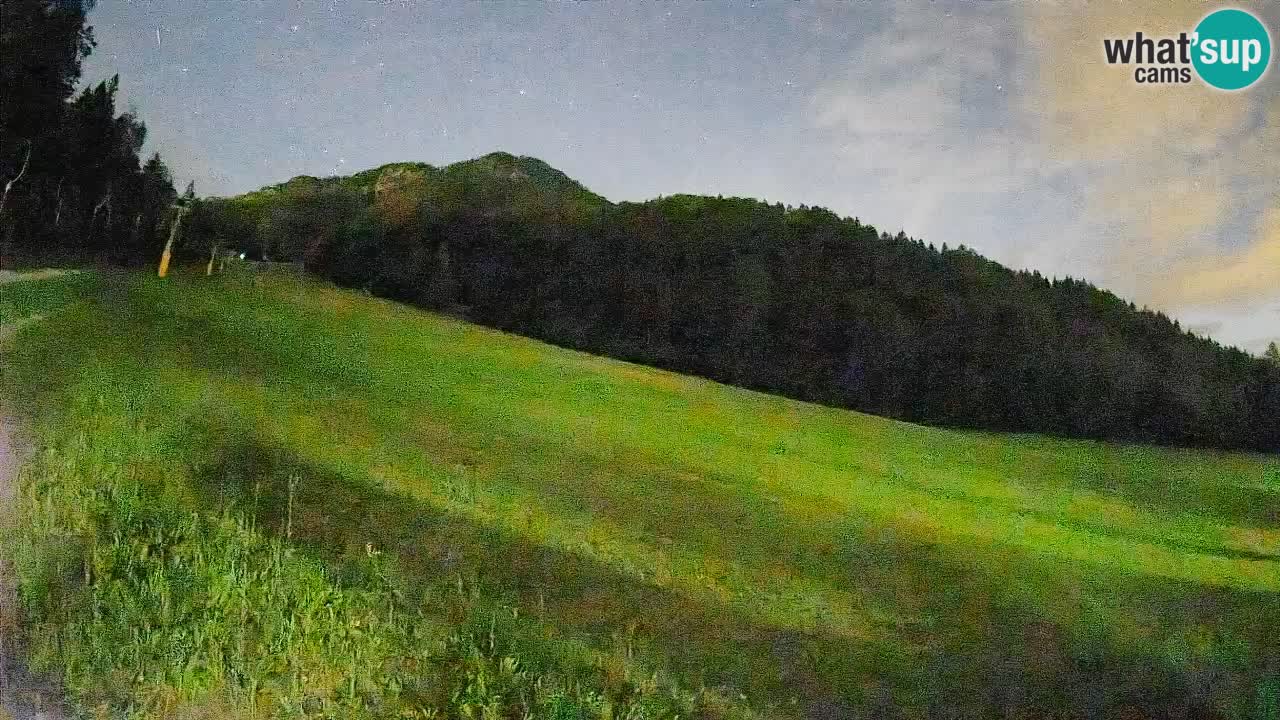 Kranjska Gora SKIJANJE | Brsnina