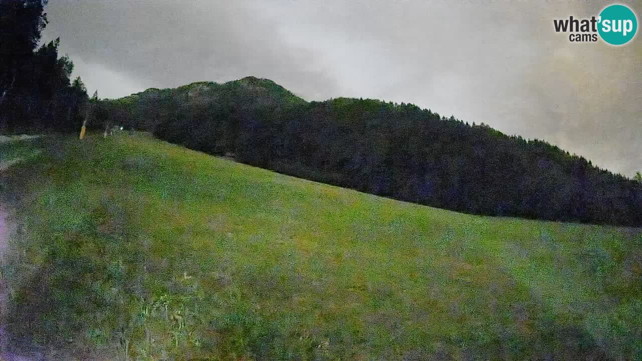Kranjska Gora SKIJANJE | Brsnina