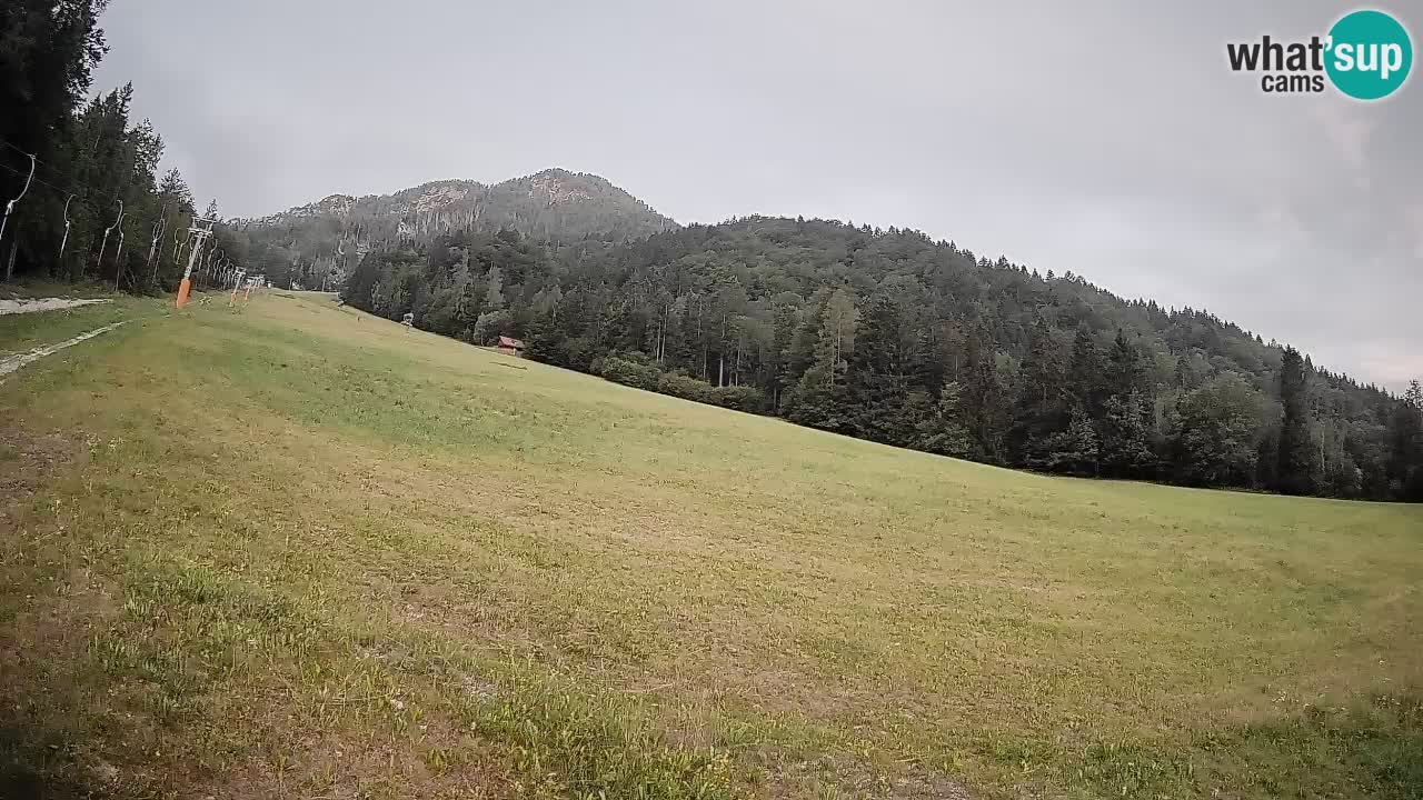 Kranjska Gora SKIJANJE | Brsnina