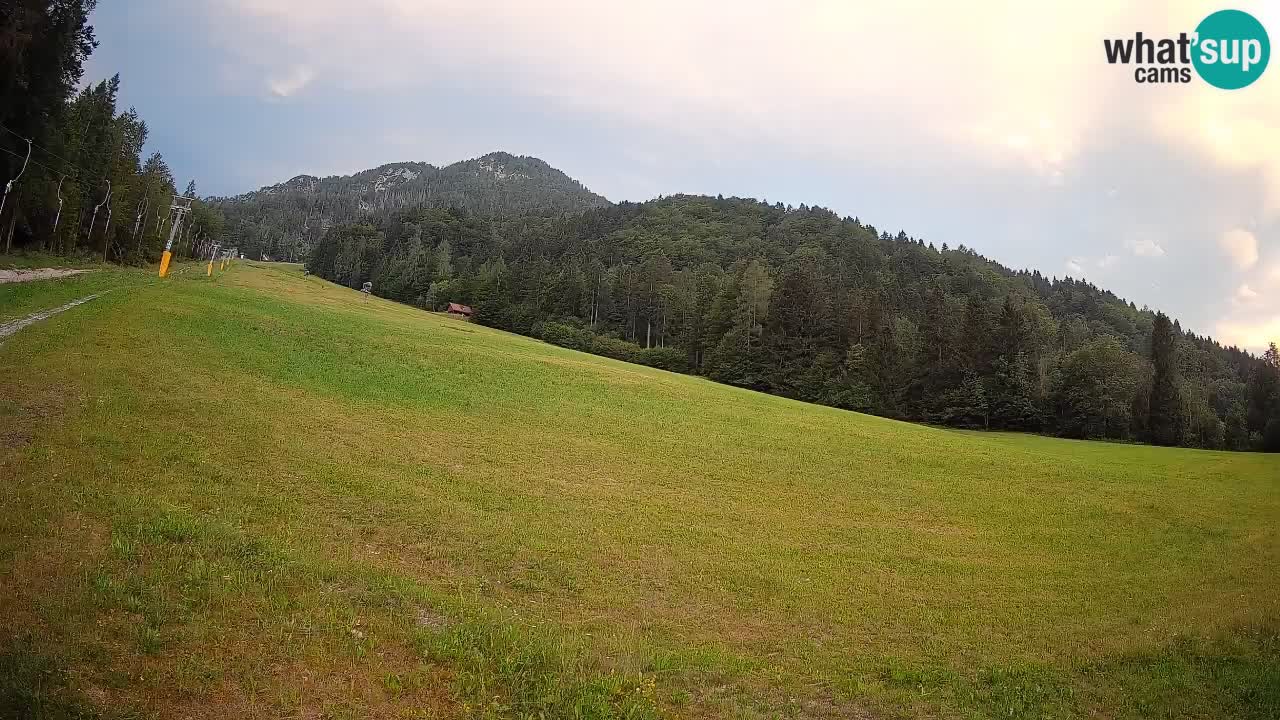 RTC Kranjska Gora | Brsnina