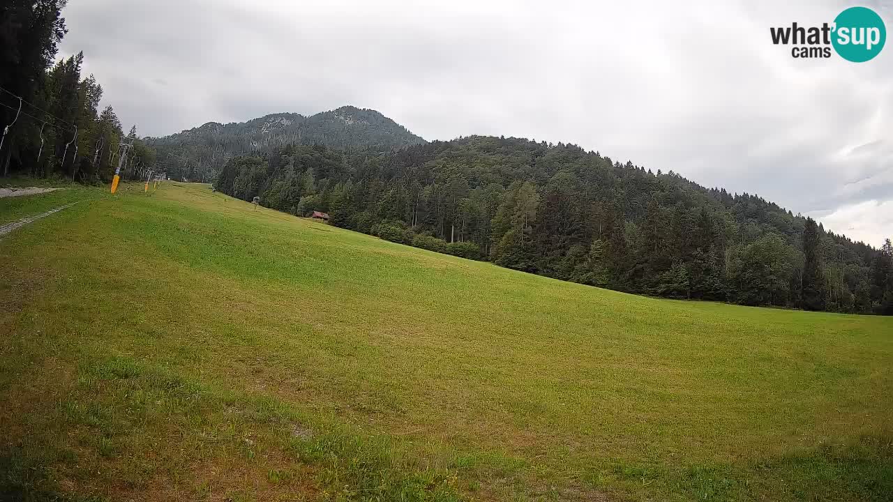 Ski Kranjska Gora | Brsnina