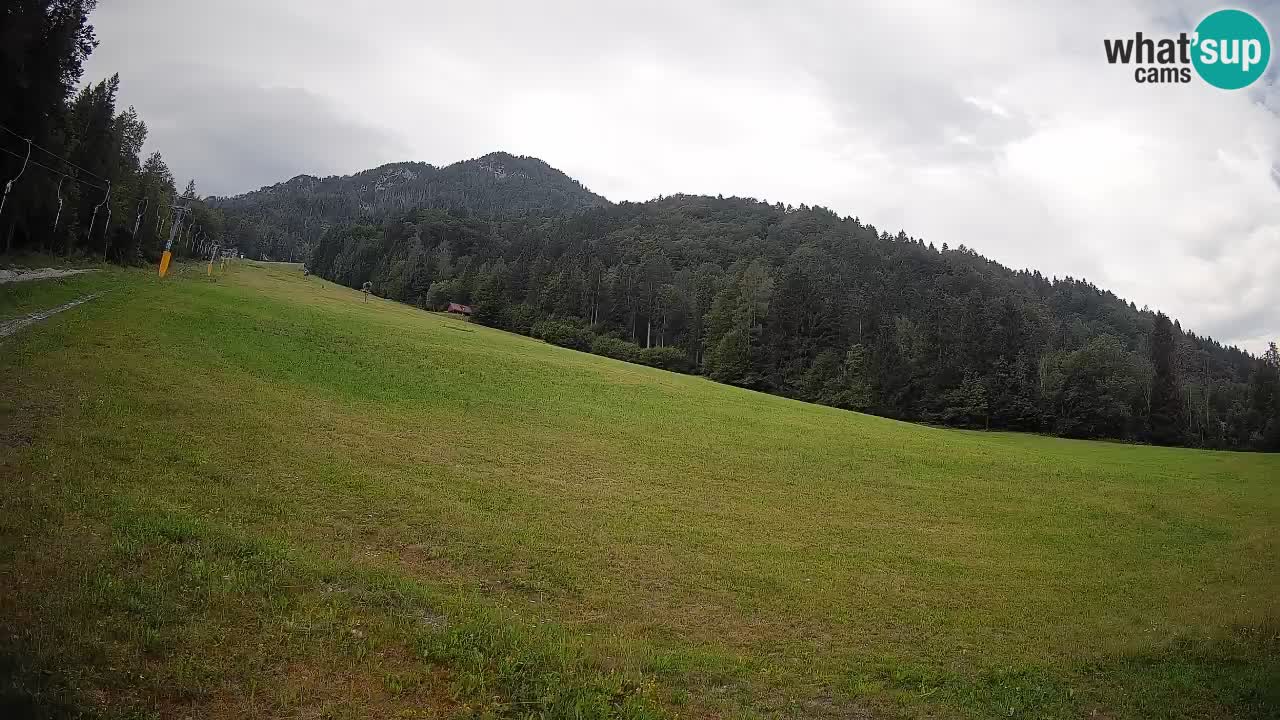 Comprensorio sciistico Kranjska Gora | Brsnina