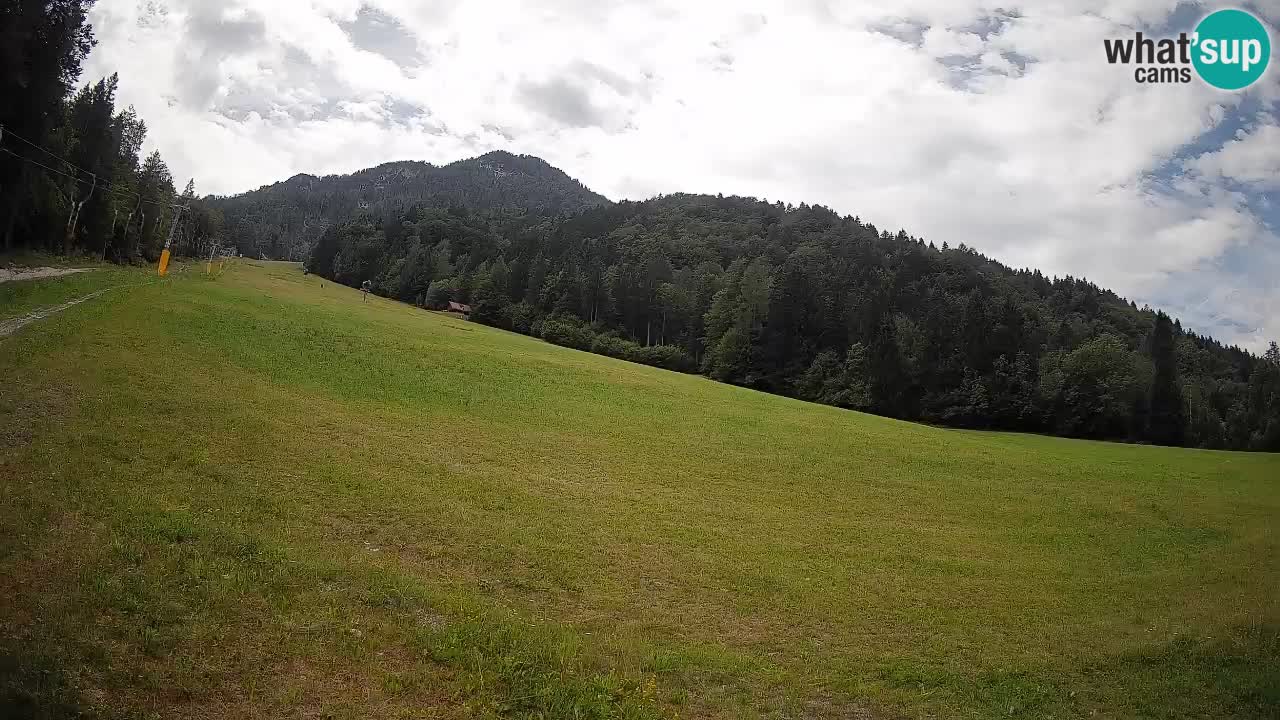 RTC Kranjska Gora | Brsnina