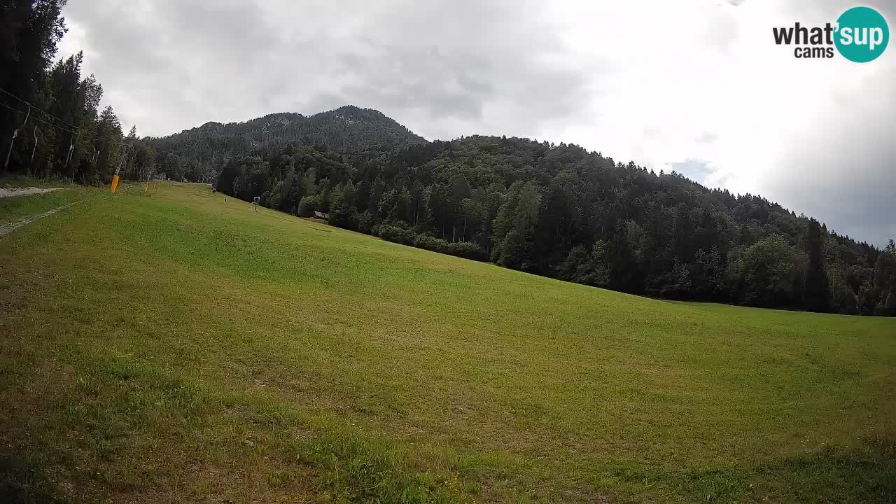 Kranjska Gora Station de ski | Brsnina