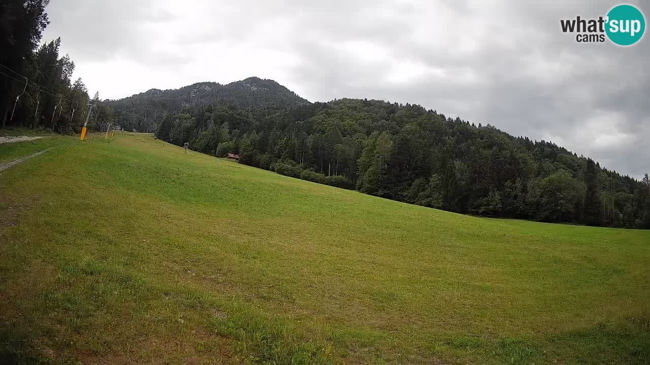 Kranjska Gora Station de ski | Brsnina