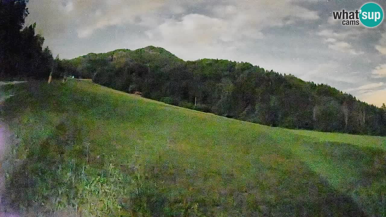 Ski Kranjska Gora | Brsnina