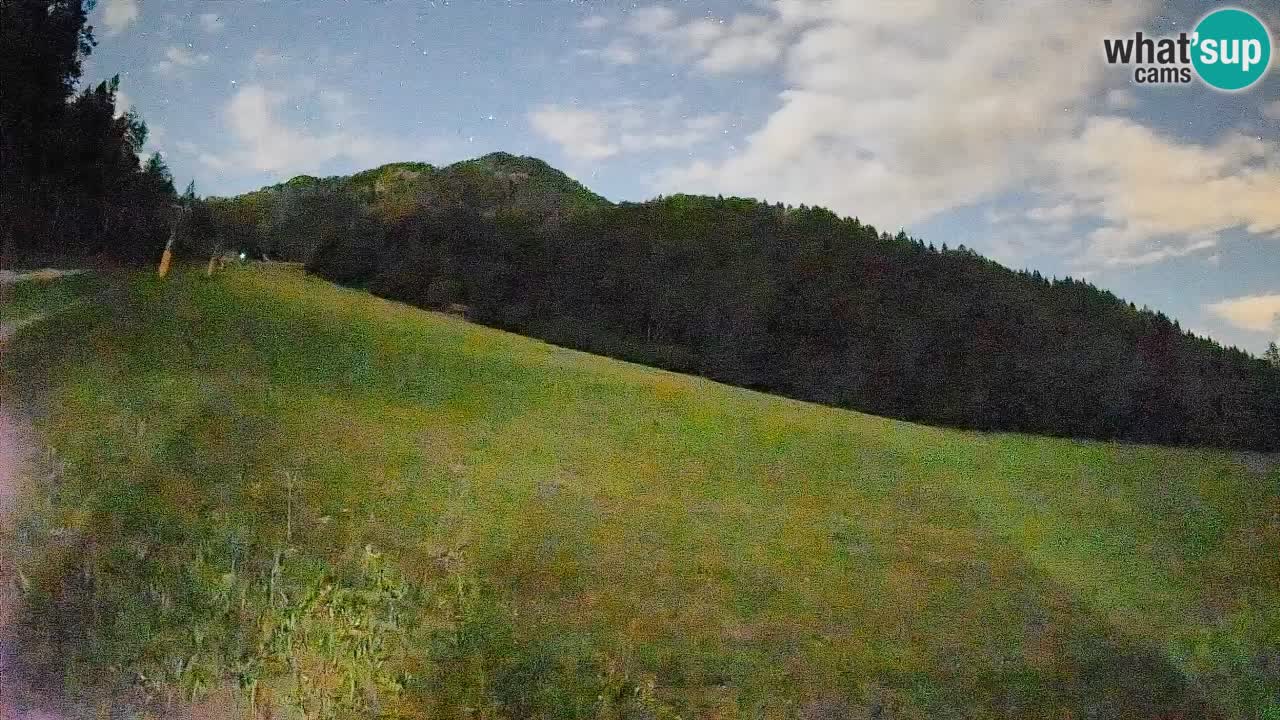 Ski Kranjska Gora | Brsnina