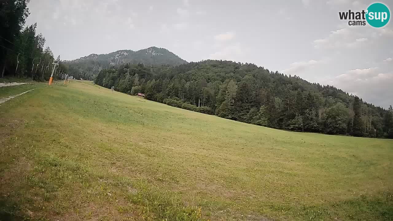 Esquí Kranjska Gora | Brsnina