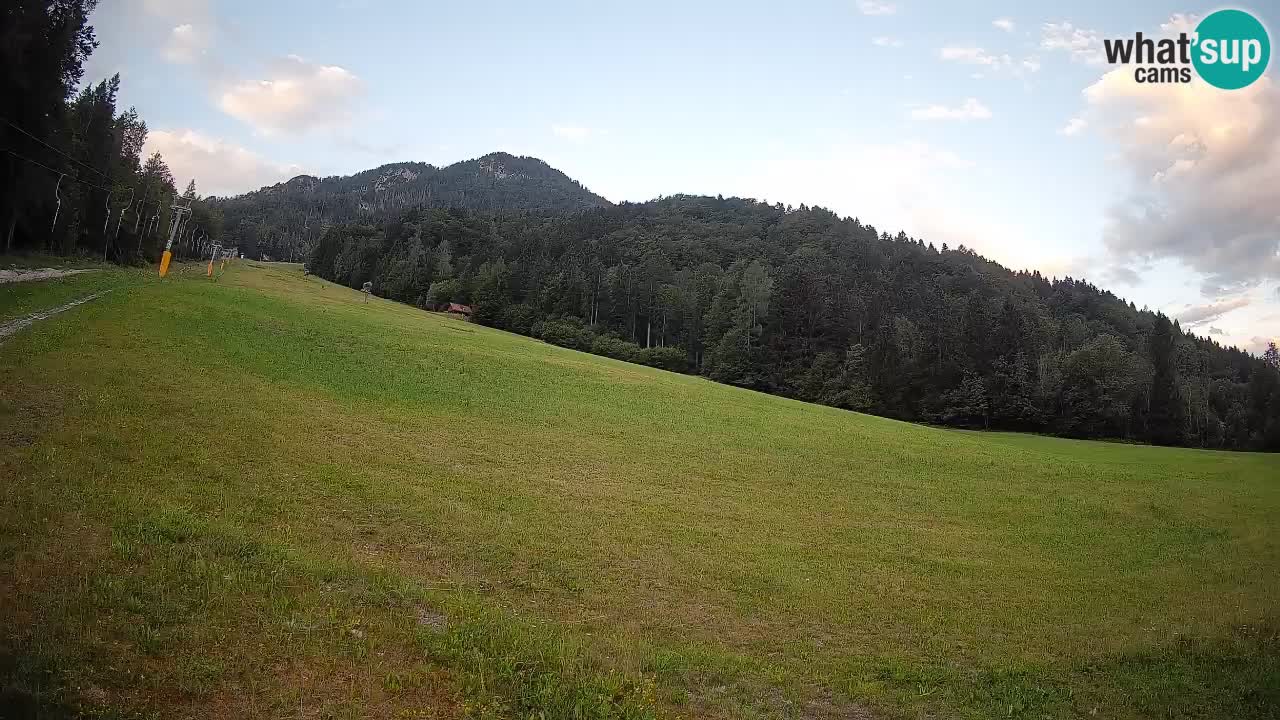 RTC Kranjska Gora | Brsnina