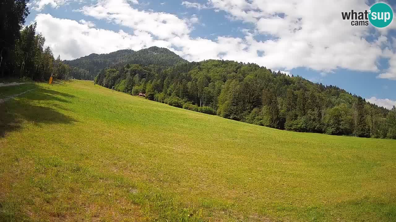 Kranjska Gora SKIJANJE | Brsnina