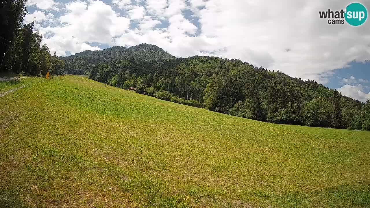 Kranjska Gora SKIJANJE | Brsnina