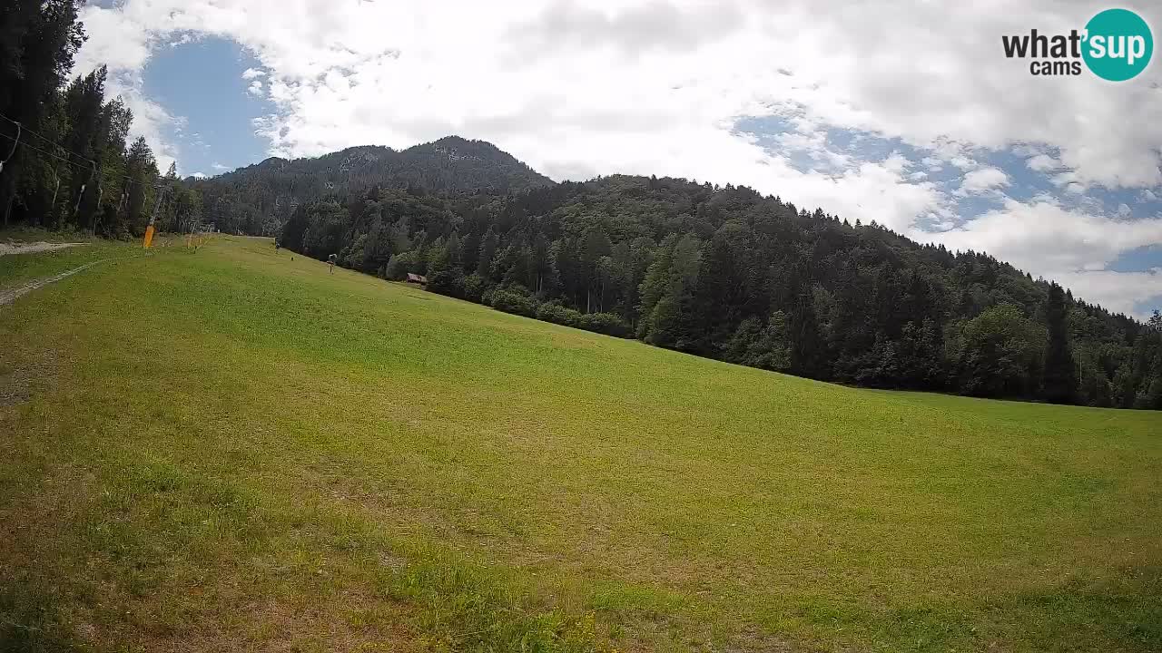 RTC Kranjska Gora | Brsnina