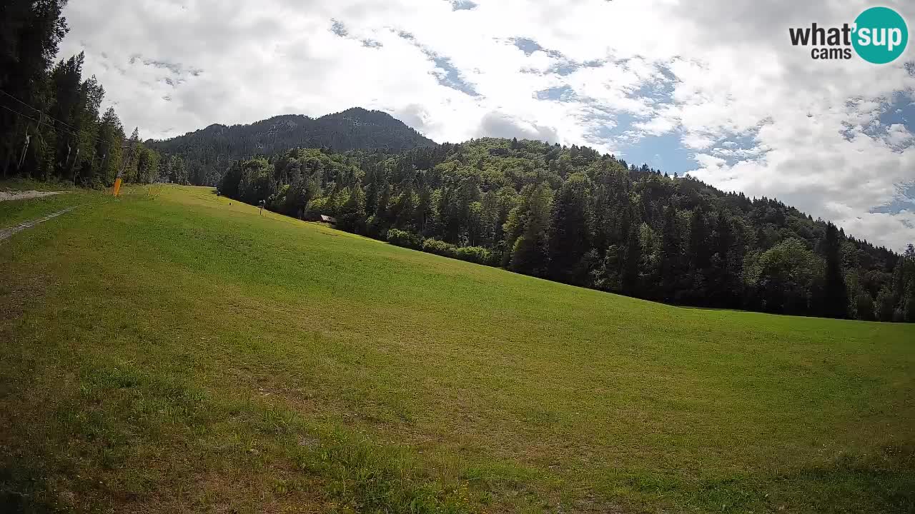 RTC Kranjska Gora | Brsnina
