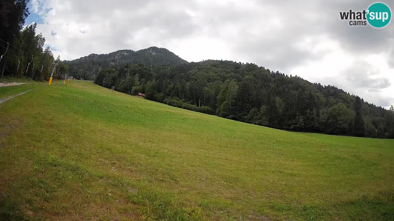 Comprensorio sciistico Kranjska Gora | Brsnina