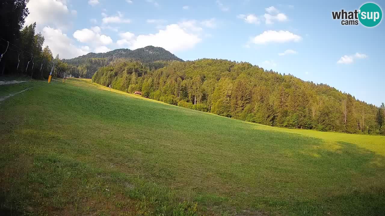 RTC Skigebiet Kranjska Gora | Brsnina