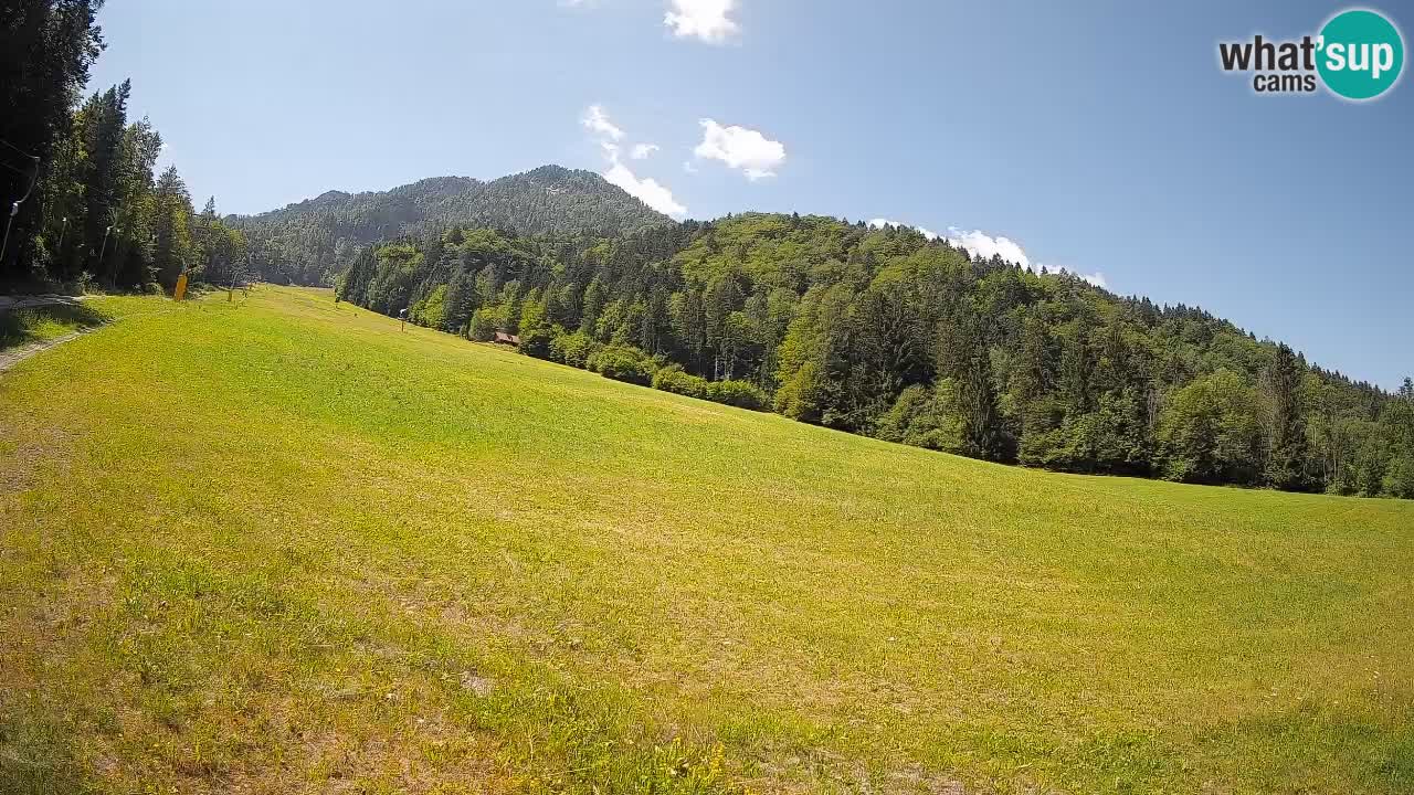 Ski Kranjska Gora | Brsnina