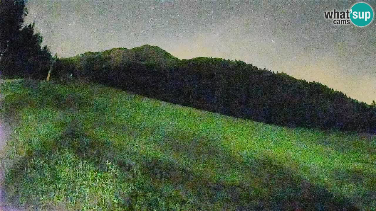 Kranjska Gora SKIJANJE | Brsnina