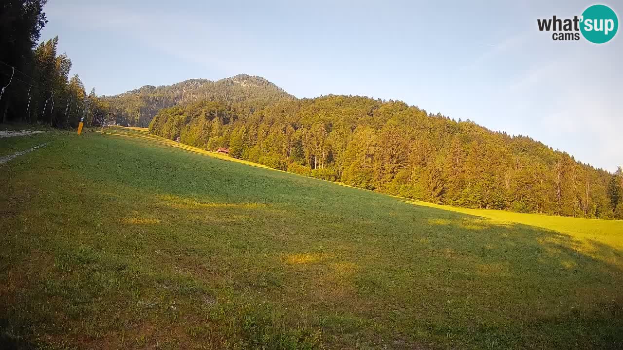 Ski Kranjska Gora | Brsnina