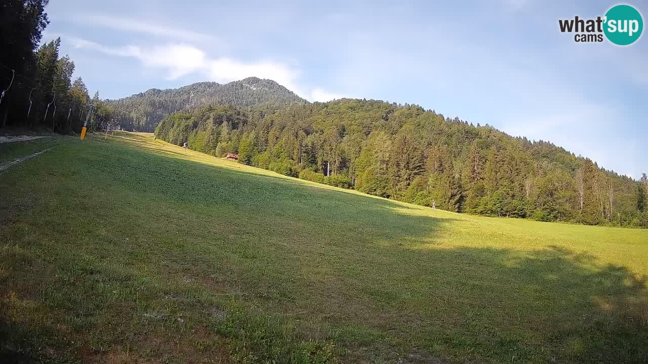 Ski Kranjska Gora | Brsnina