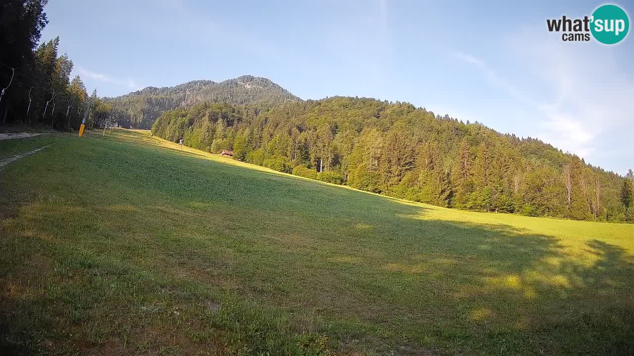 Ski Kranjska Gora | Brsnina