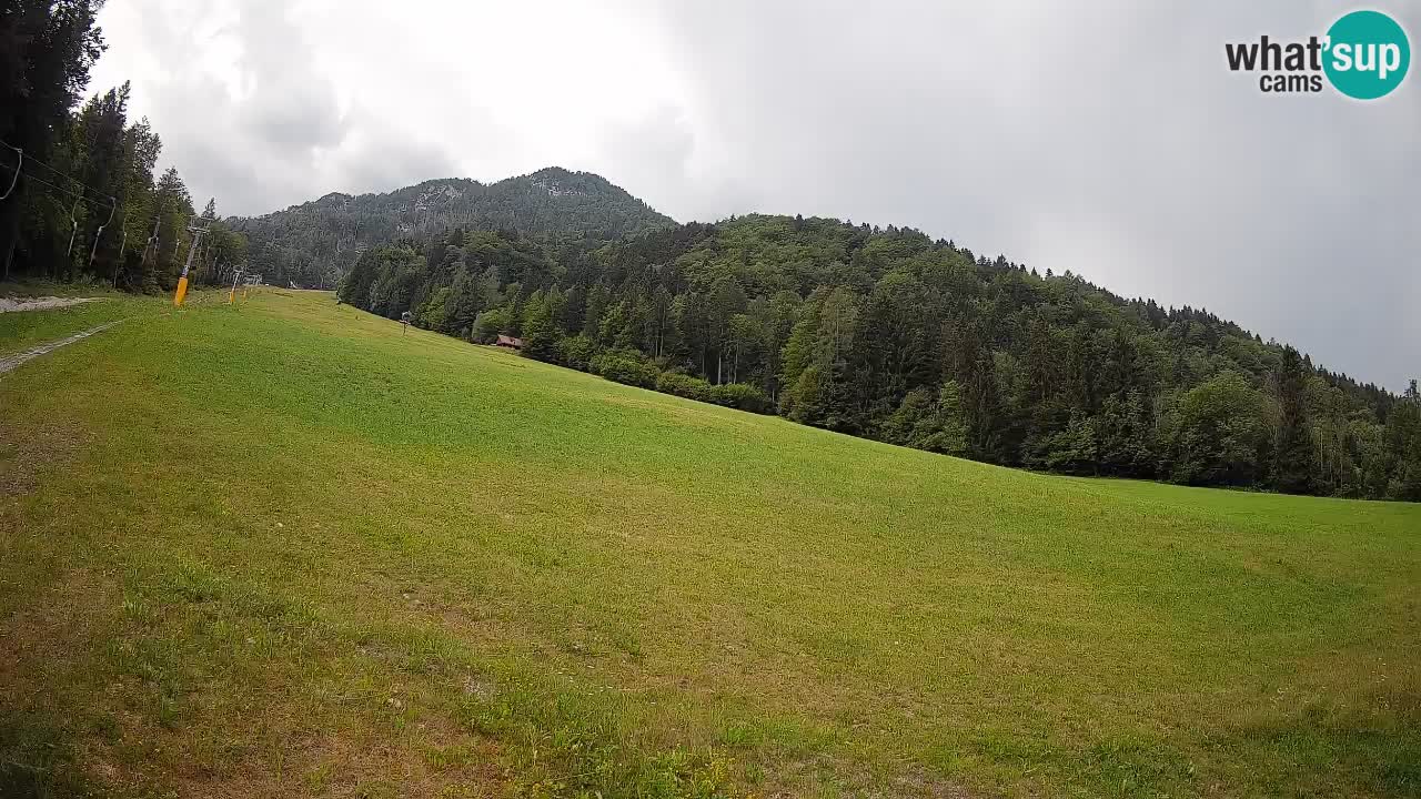Comprensorio sciistico Kranjska Gora | Brsnina