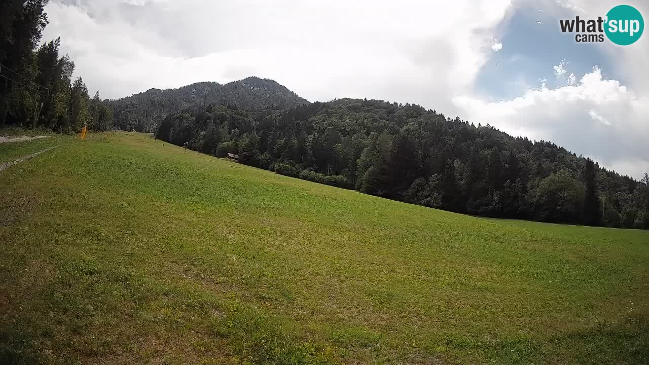 Kranjska Gora Station de ski | Brsnina