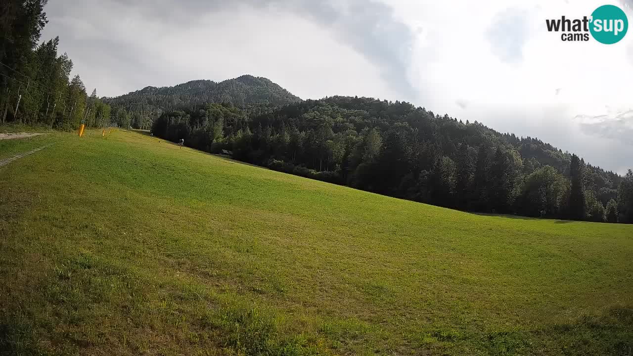 RTC Kranjska Gora | Brsnina