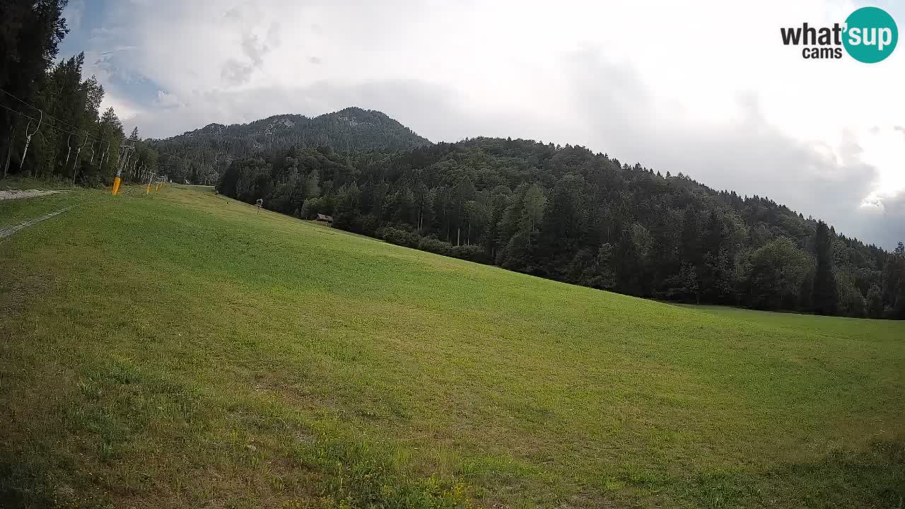 Esquí Kranjska Gora | Brsnina