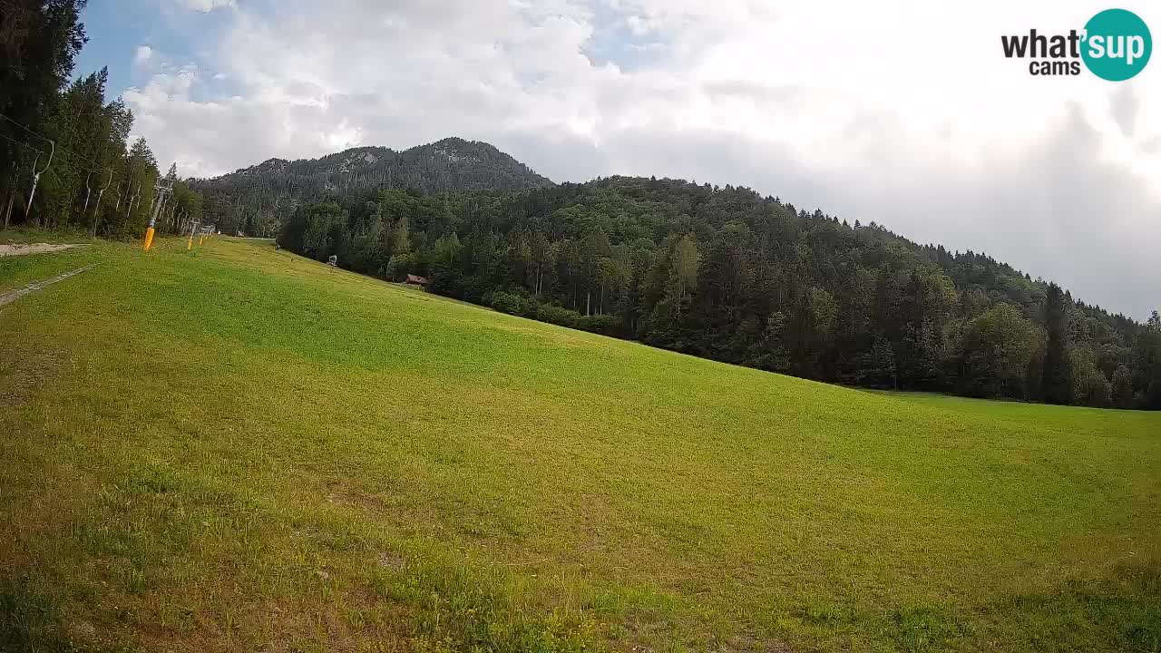Comprensorio sciistico Kranjska Gora | Brsnina